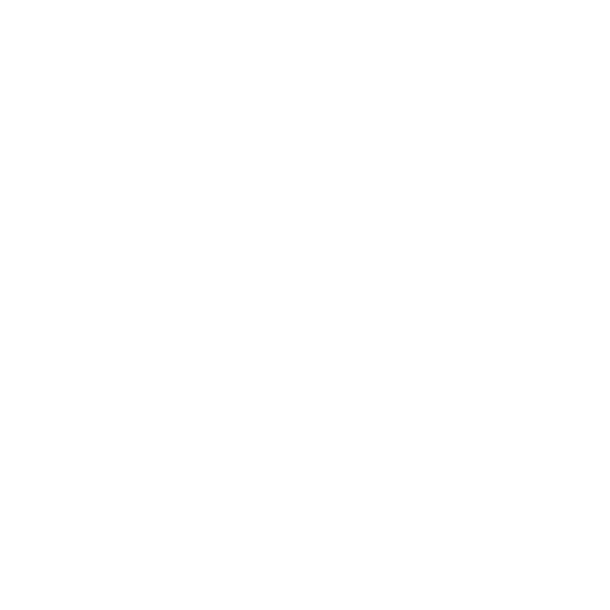 CHEMINEE BIOETHANOL