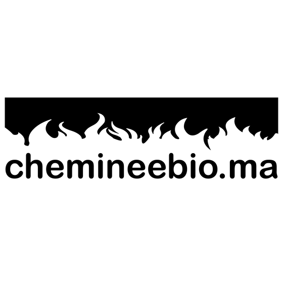 CHEMINEE BIOETHANOL